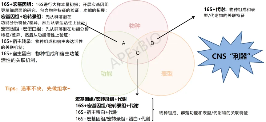 640 1.webp